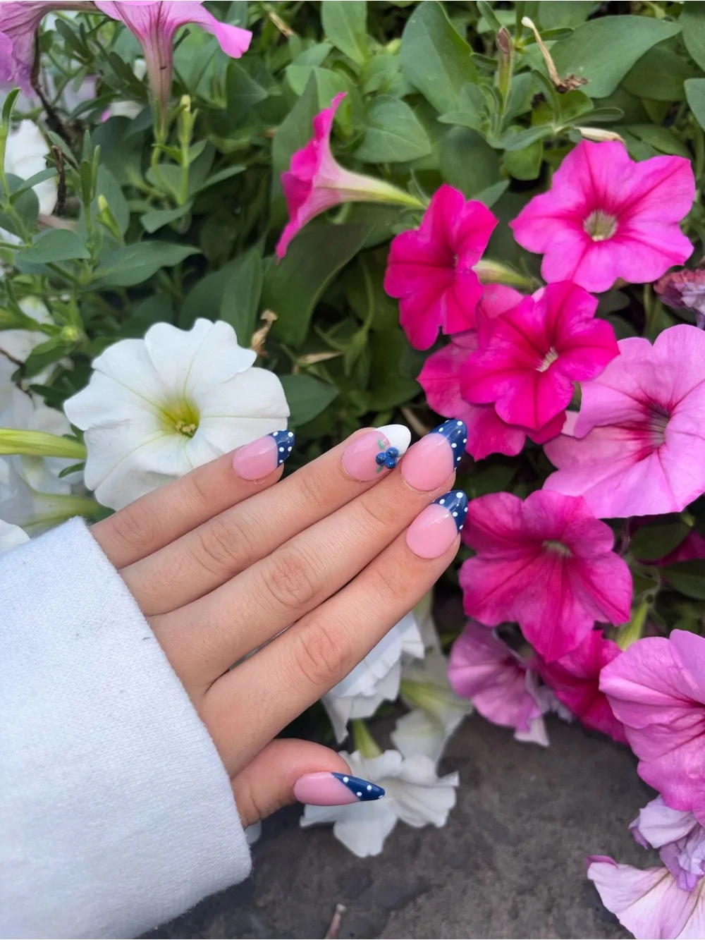 🫐 Handmade Blueberry & Polka Dot French Tip Press-On Nails